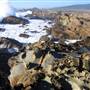 Salt Point State Park (SP)