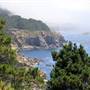 Salt Point State Park (SP)