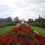 Exposition Park Rose Garden