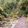 Van Damme State Park (SP) / Beach / Pygmy Forest / Fern Canyon Trail / Spring Ranch Trail