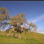 Pacheco State Park (SP) and Windmill Farm / Wind Energy