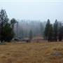 Palomar Mountain State Park (SP)