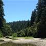 Hendy Woods State Park (SP)