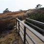 Torrey Pines State Natural Reserve (SNR)