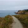 Trinidad State Beach (SB)