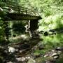 Forest of Nisene Marks State Park (SP), The