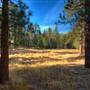 Mount San Jacinto State Park (SP) & Palm Springs Aerial Tramway