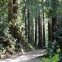 Rancho Del Oso and Waddell Beach @ Big Basin Redwoods State Park (SP)
