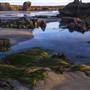 Estero Bluffs State Park (SP)