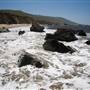 Andrew Molera State Park (SP)