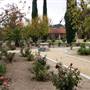 Mission San Antonio de Padua