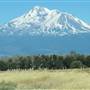 Mount Shasta / Shasta-Trinity National Forest