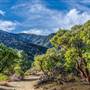 Devil's Punchbowl
