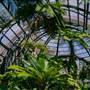 Balboa Park