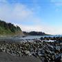 Redwood National & State Parks