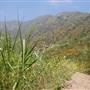 Solstice Canyon - National Park Service (NPS)