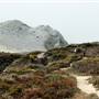 Point Lobos State Natural Reserve (SNR)