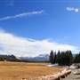 Tuolumne Meadows