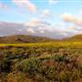 Montana de Oro State Park (SP)