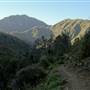 Los Padres National Forest - Monterey Ranger District
