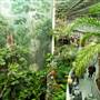 California Academy of Sciences