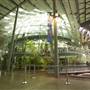 California Academy of Sciences