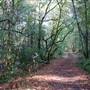 Bothe-Napa Valley State Park (SP)