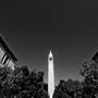 University of California, Berkeley - UCB