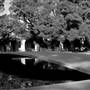 California Institute of Technology - Caltech