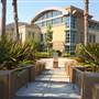 Chapman University