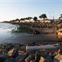 McLaughlin Eastshore State Park State Seashore (SP) - East Bay Regional Park District
