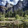 Yosemite National Park