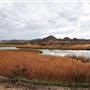 Picacho State Recreation Area (SRA)