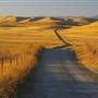 Carrizo Plain National Monument