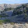 Coachella Valley Preserve System
