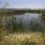Ash Creek Wildlife Area - California Department of Fish & Wildlife (CDFW)