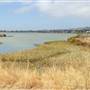 Albany State Marine Reserve - State Lands Commission (SLC)