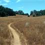 Santa Rosa Plateau Ecological Reserve - Riverside County & California Department of Fish & Wildlife (CDFW)