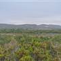 Burton Mesa Ecological Reserve - California Department of Fish & Wildlife (CDFW)