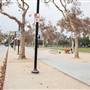 Roads and Surfaces at Exposition Park