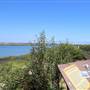 Bolsa Chica Ecological Reserve - California Department of Fish & Wildlife (CDFW)