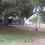 MacArthur Park and Tunnels