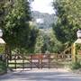 Windy Hill Ranch - El Campeon Farms