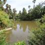 Los Angeles County Arboretum