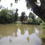 Los Angeles County Arboretum