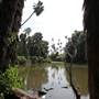 Los Angeles County Arboretum
