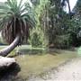 Los Angeles County Arboretum