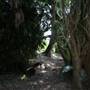 Los Angeles County Arboretum
