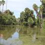 Los Angeles County Arboretum