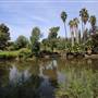 Los Angeles County Arboretum